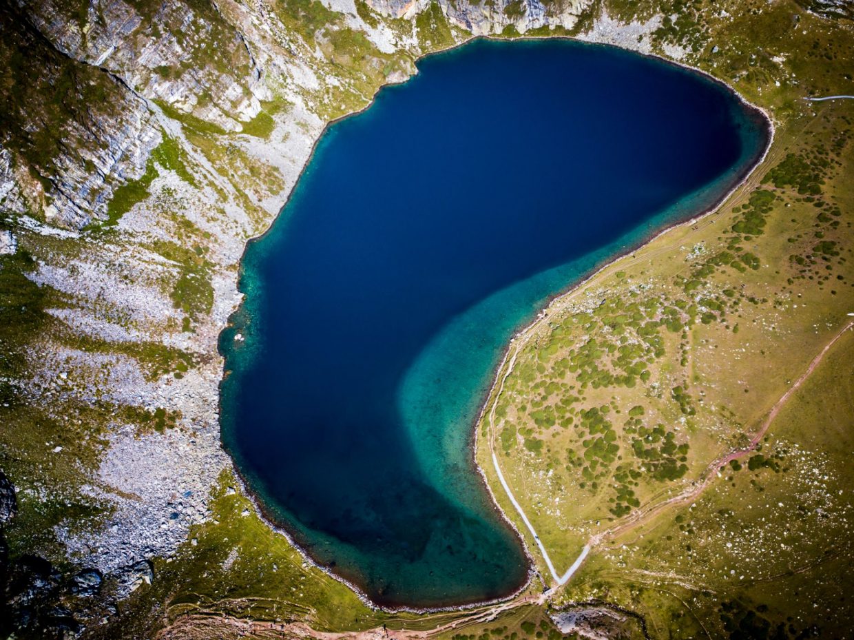 Kidney shaped water